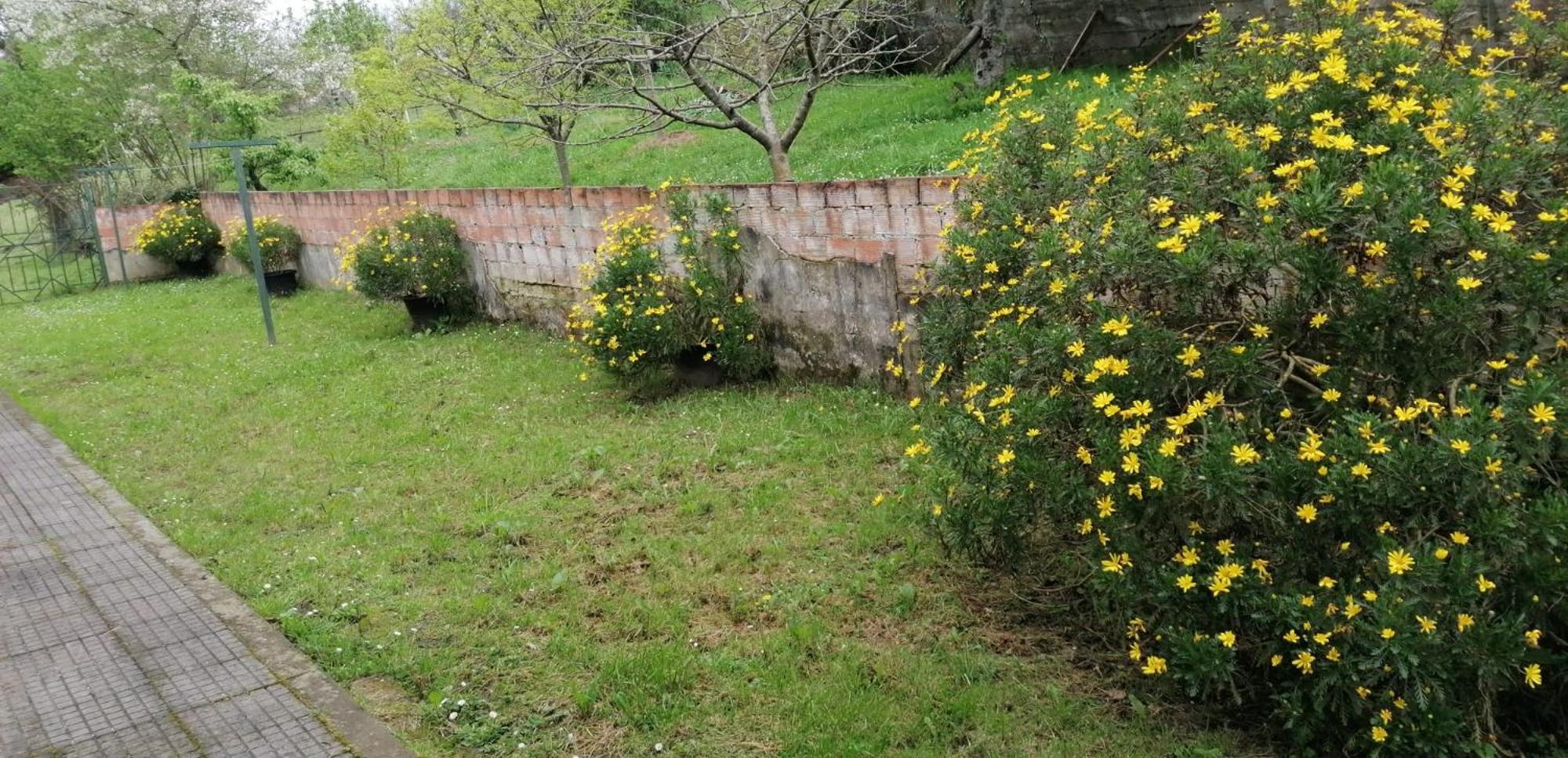 Fondu La Llosa - Casita Cerca De Gijon - Vv-662-As Villaviciosa  Eksteriør billede